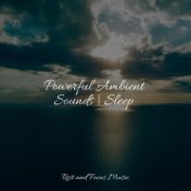 Powerful Ambient Sounds | Sleep