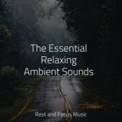 The Essential Relaxing Ambient Sounds