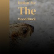 Indian Ate The Woodchuck