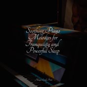 Soothing Piano Melodies for Tranquility and Powerful Sleep
