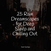 25 Rain Dreamscapes for Deep Sleep and Chilling Out