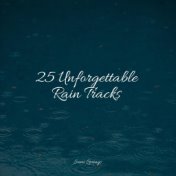 25 Unforgettable Rain Tracks