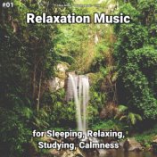 #01 Relaxation Music for Sleeping, Relaxing, Studying, Calmness