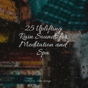 25 Uplifting Rain Sounds for Meditation and Spa