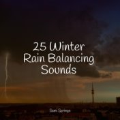 25 Winter Rain Balancing Sounds