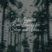 25 Loopable Rain Tracks for Sleep and Vibes