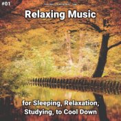 #01 Relaxing Music for Sleeping, Relaxation, Studying, to Cool Down