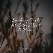 Soothing Tracks for Calm Mind & Brain