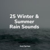 25 Winter & Summer Rain Sounds