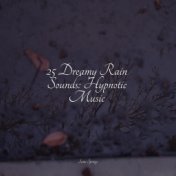 25 Dreamy Rain Sounds: Hypnotic Music