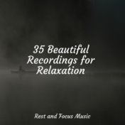 35 Beautiful Recordings for Relaxation