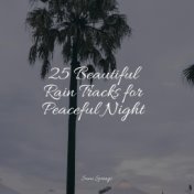 25 Beautiful Rain Tracks for Peaceful Night