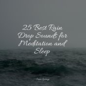 25 Best Rain Drop Sounds for Meditation and Sleep