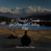 30 Peaceful Sounds for Pure and Chilling Out