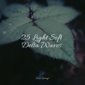 25 Light Soft Delta Waves