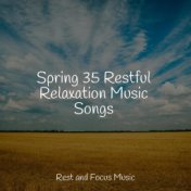 Spring 35 Restful Relaxation Music Songs