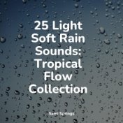 25 Light Soft Rain Sounds: Tropical Flow Collection