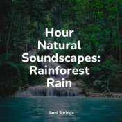 Hour Natural Soundscapes: Rainforest Rain