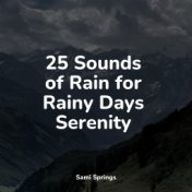 25 Sounds of Rain for Rainy Days Serenity