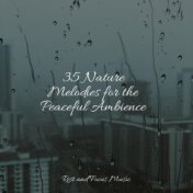 35 Nature Melodies for the Peaceful Ambience