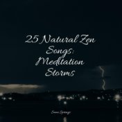 25 Natural Zen Songs: Meditation Storms
