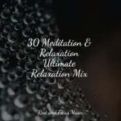 30 Meditation & Relaxation Ultimate Relaxation Mix