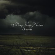 25 Deep Sleep Nature Sounds