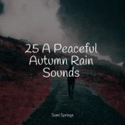 25 A Peaceful Autumn Rain Sounds