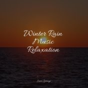 Winter Rain Music Relaxation