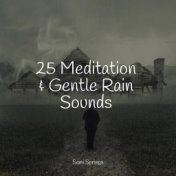 25 Meditation & Gentle Rain Sounds