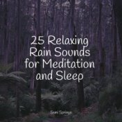 25 Relaxing Rain Sounds for Meditation and Sleep