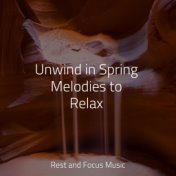 Unwind in Spring Melodies to Relax