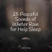 25 Peaceful Sounds of Winter Rain for Help Sleep