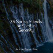 35 Spring Sounds for Spiritual Serenity