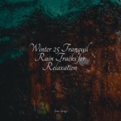 Winter 25 Tranquil Rain Tracks for Relaxation