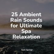25 Ambient Rain Sounds for Ultimate Spa Relaxation