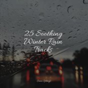 25 Soothing Winter Rain Tracks
