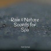 Rain & Nature Sounds for Spa