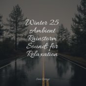 Winter 25 Ambient Rainstorm Sounds for Relaxation