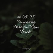 #25 25 Composing Peaceful Rain Tracks