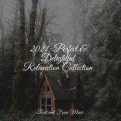 2021: Perfect & Delightful Relaxation Collection