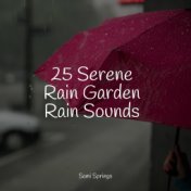 25 Serene Rain Garden Rain Sounds