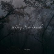 25 Sleep Rain Sounds