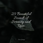 25 Beautiful Sounds of Serenity and Rain