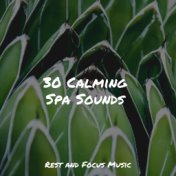 30 Calming Spa Sounds