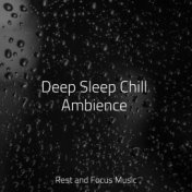 Deep Sleep Chill Ambience