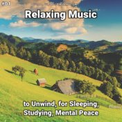 #01 Relaxing Music to Unwind, for Sleeping, Studying, Mental Peace