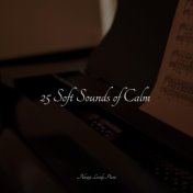 25 Soft Sounds of Calm