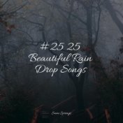 #25 25 Beautiful Rain Drop Songs