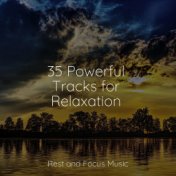 35 Powerful Tracks for Relaxation